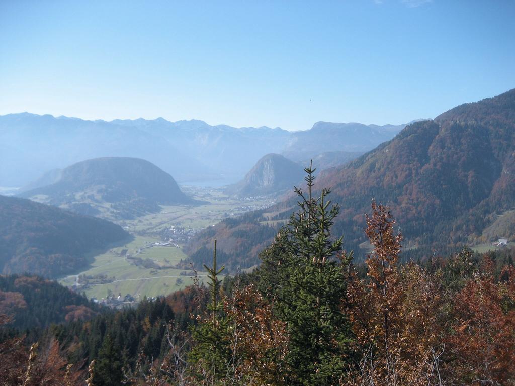 Apartments Pod Rodico Bohinjska Bistrica Bagian luar foto