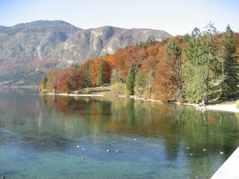 Apartments Pod Rodico Bohinjska Bistrica Bagian luar foto