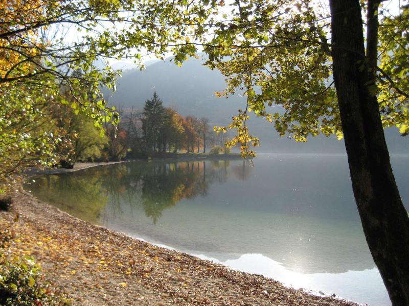 Apartments Pod Rodico Bohinjska Bistrica Bagian luar foto